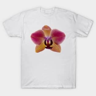 Pink and Yellow Orchid with Red Veins T-Shirt